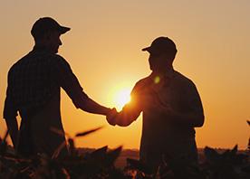 Nuevos productos fertilizantes satisfacen la demanda de boro