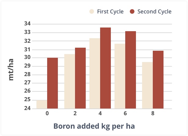 Gráfico de boro