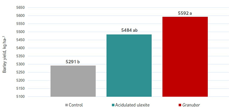 Bar chart of barley yield between control, acidulated ulexite, and Granubor