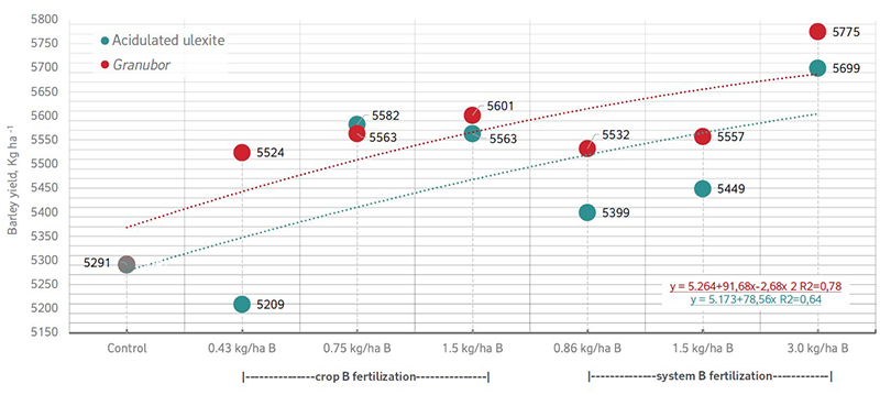 Line graph of barley yield between control, acidulated ulexite, and Granubor