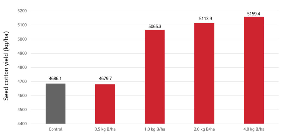 Cotton trial results graph