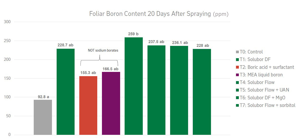 Contenido de boro foliar 20 días después de la pulverización