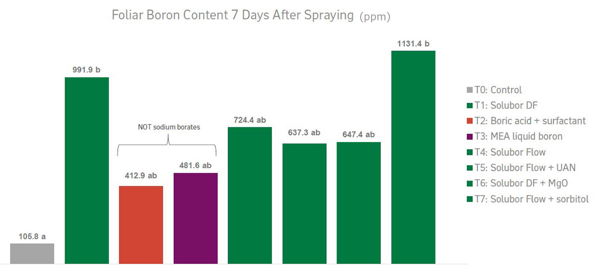 Contenido de boro foliar 7 días después de la pulverización