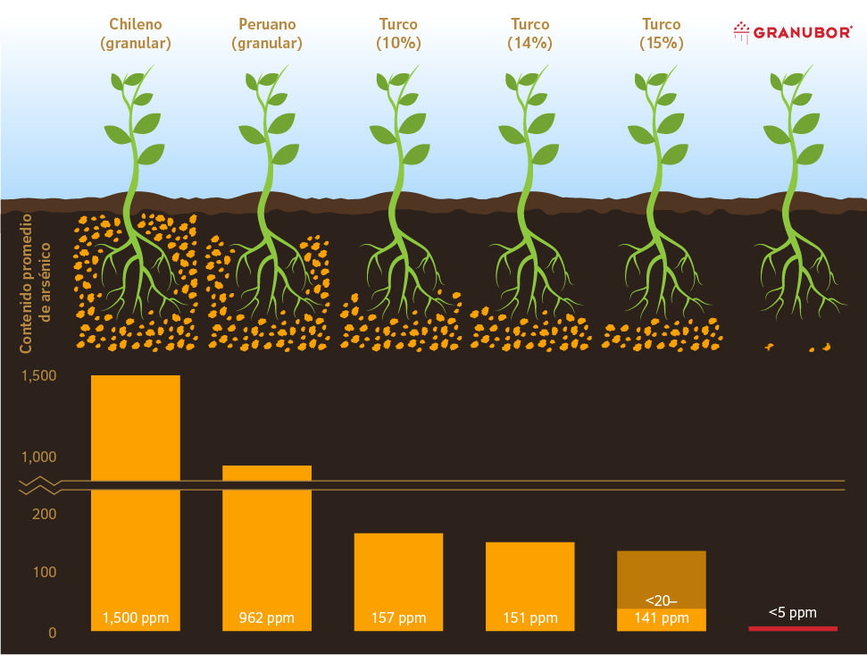 Contenido promedio de arsénico de fertilizante chileno (1500 ppm), peruano (962 ppm), turco 10 % (157 ppm), turco 14 % (151 ppm), turco 15 % (entre 20 y 141 ppm) y Granubor (menos de 5 ppm)